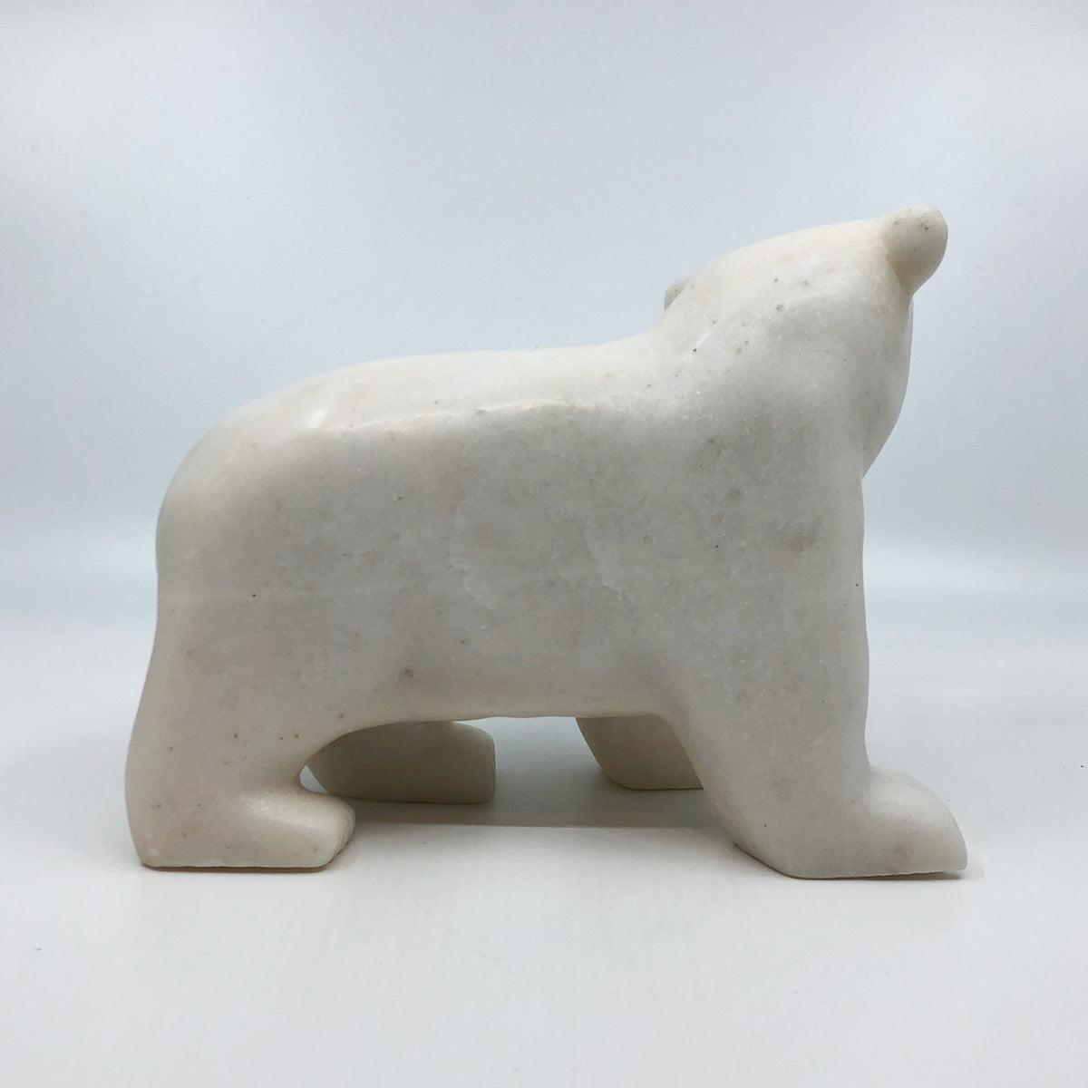 Walking Bear