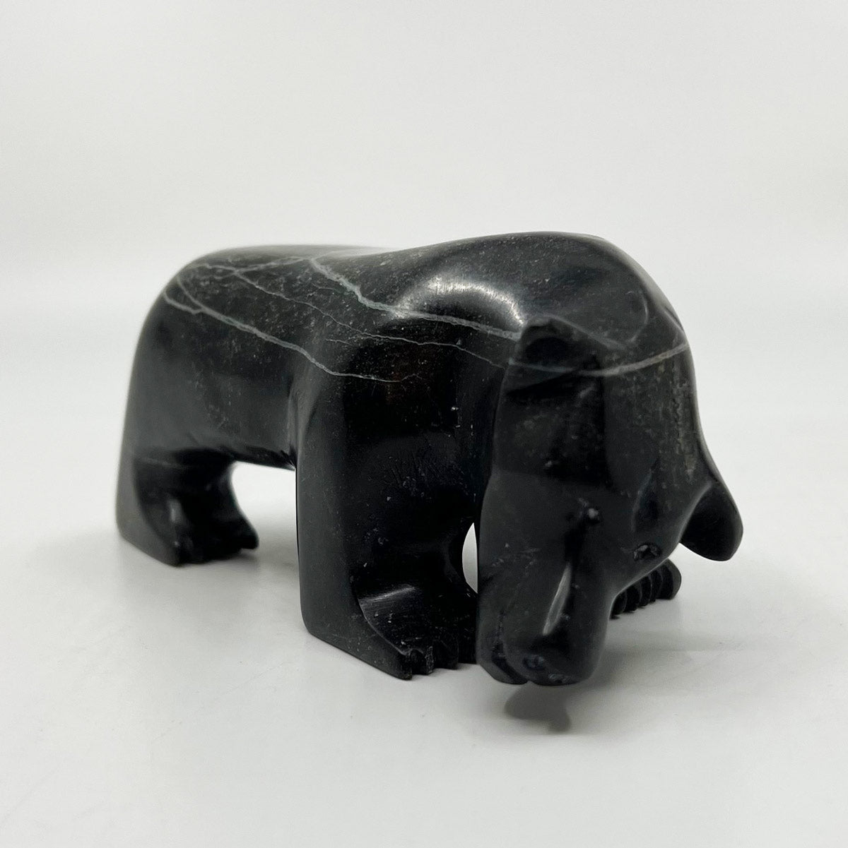 Walking Bear
