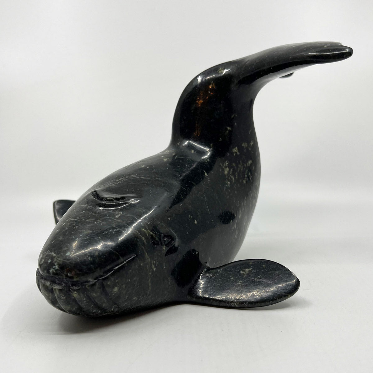 Whale