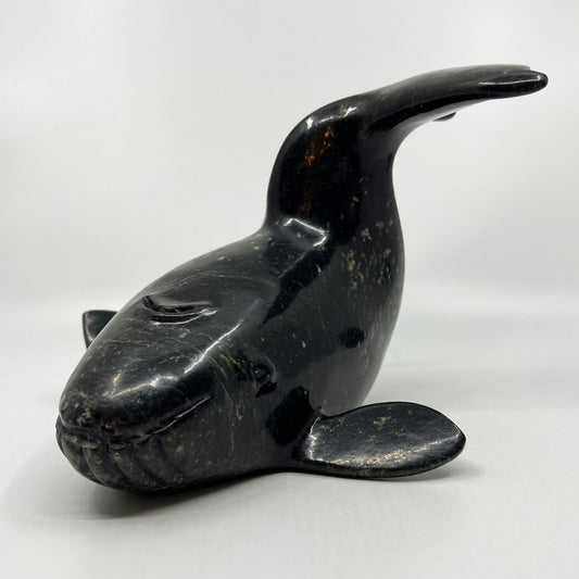 Whale
