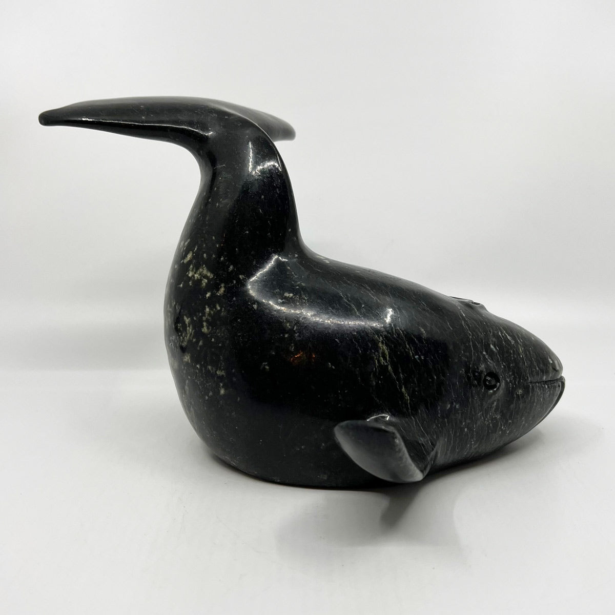 Whale