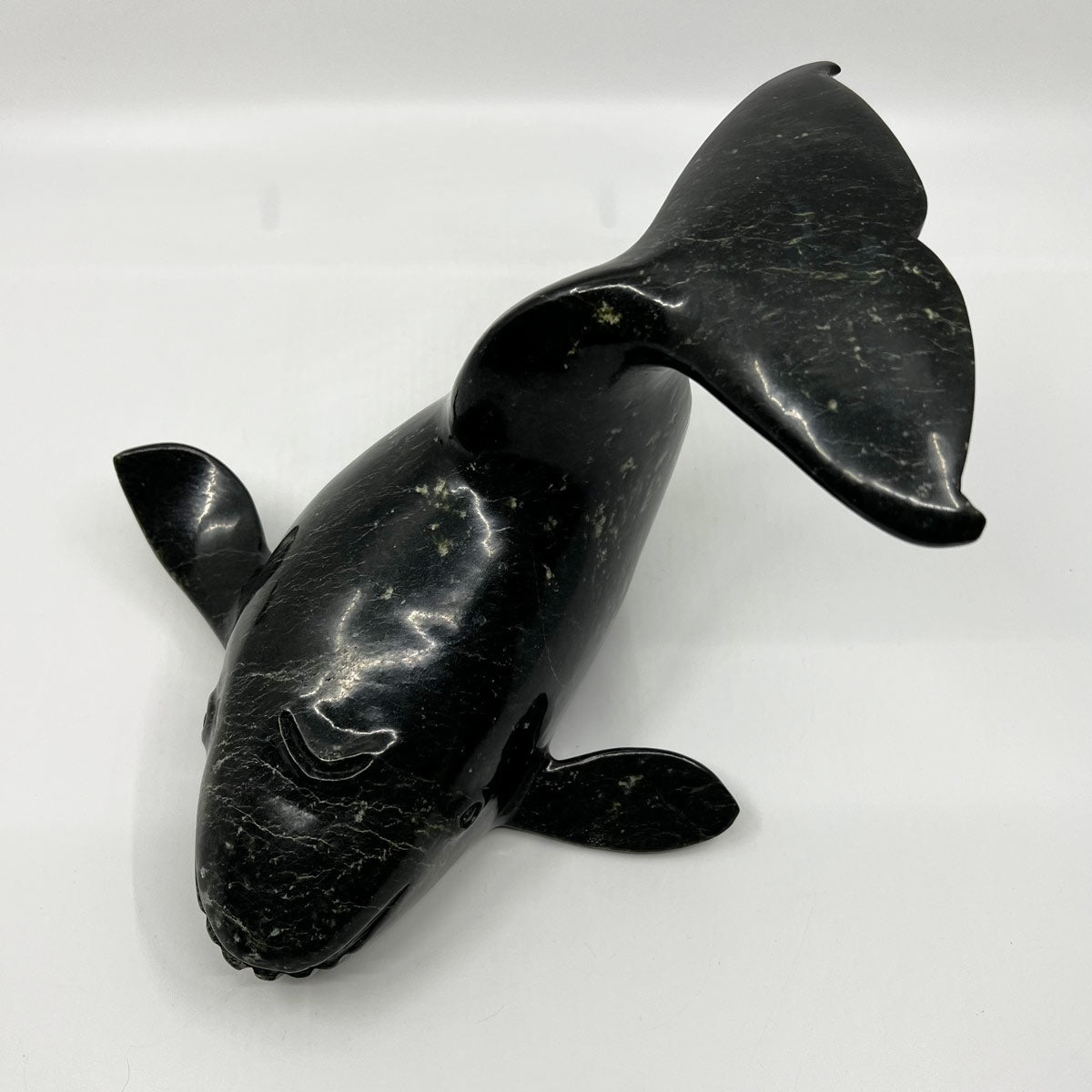 Whale