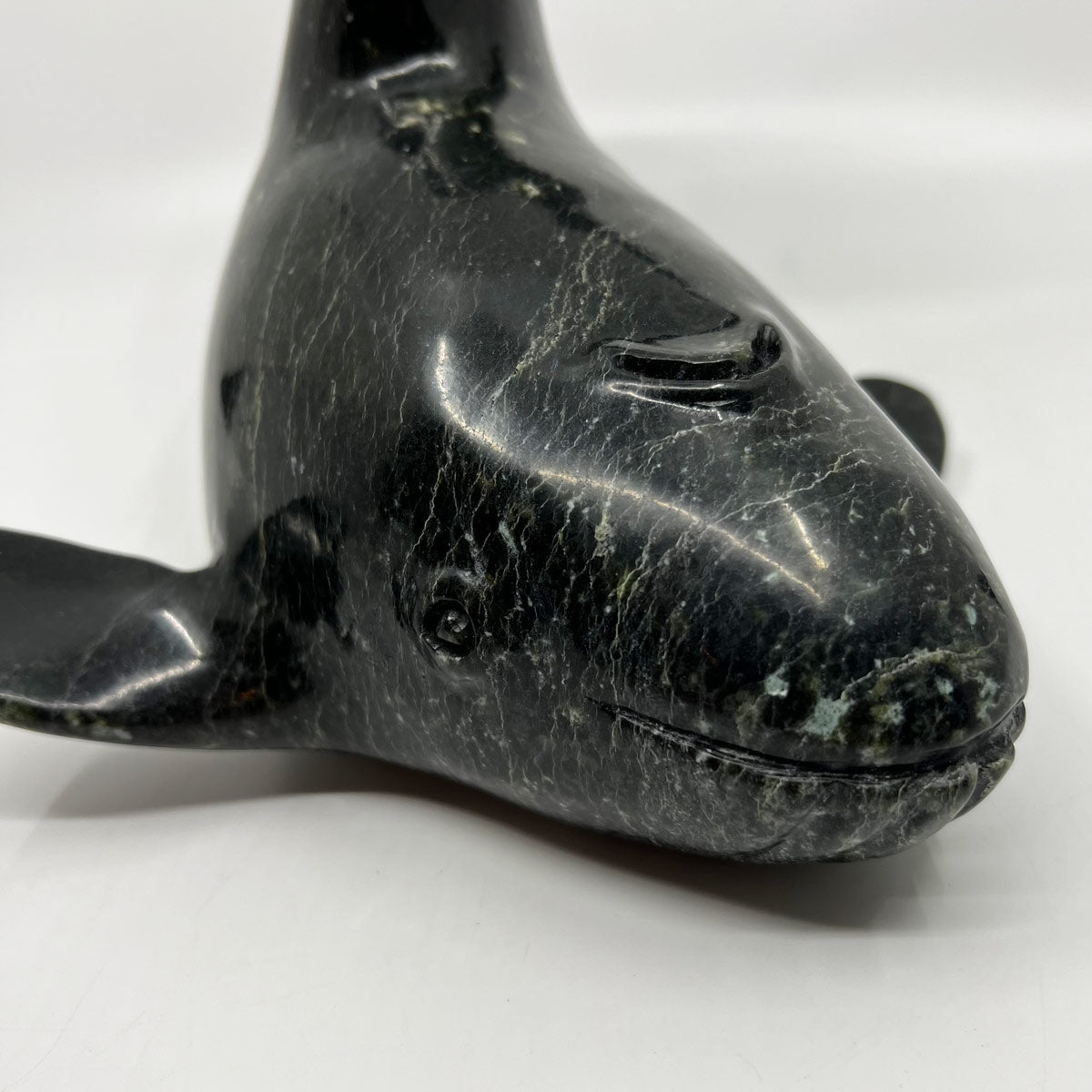 Whale