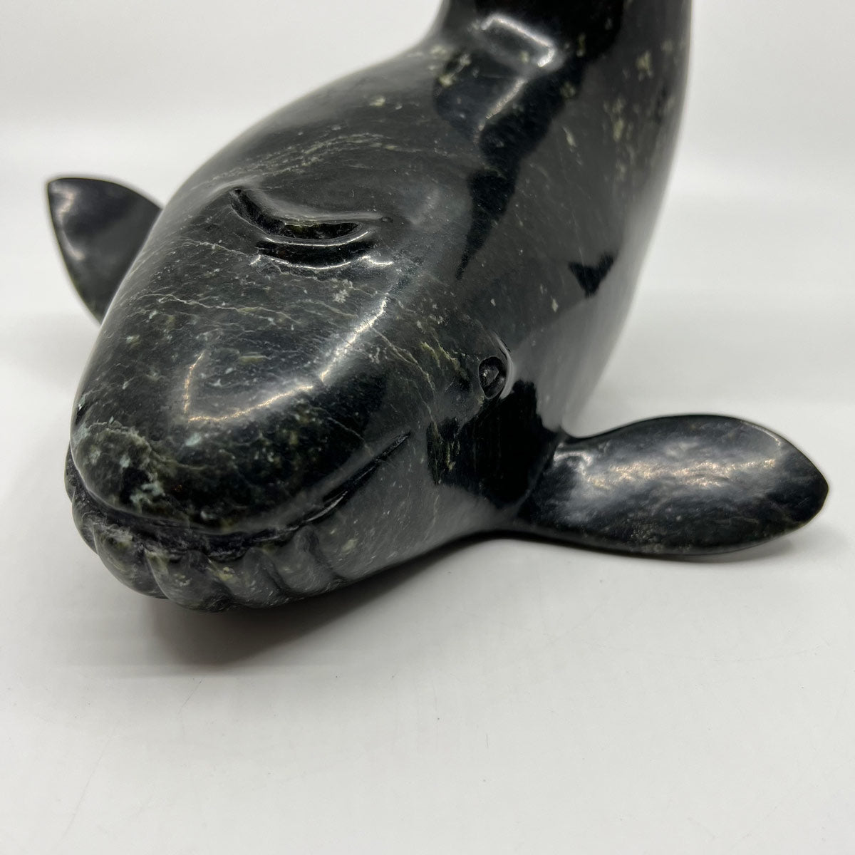 Whale