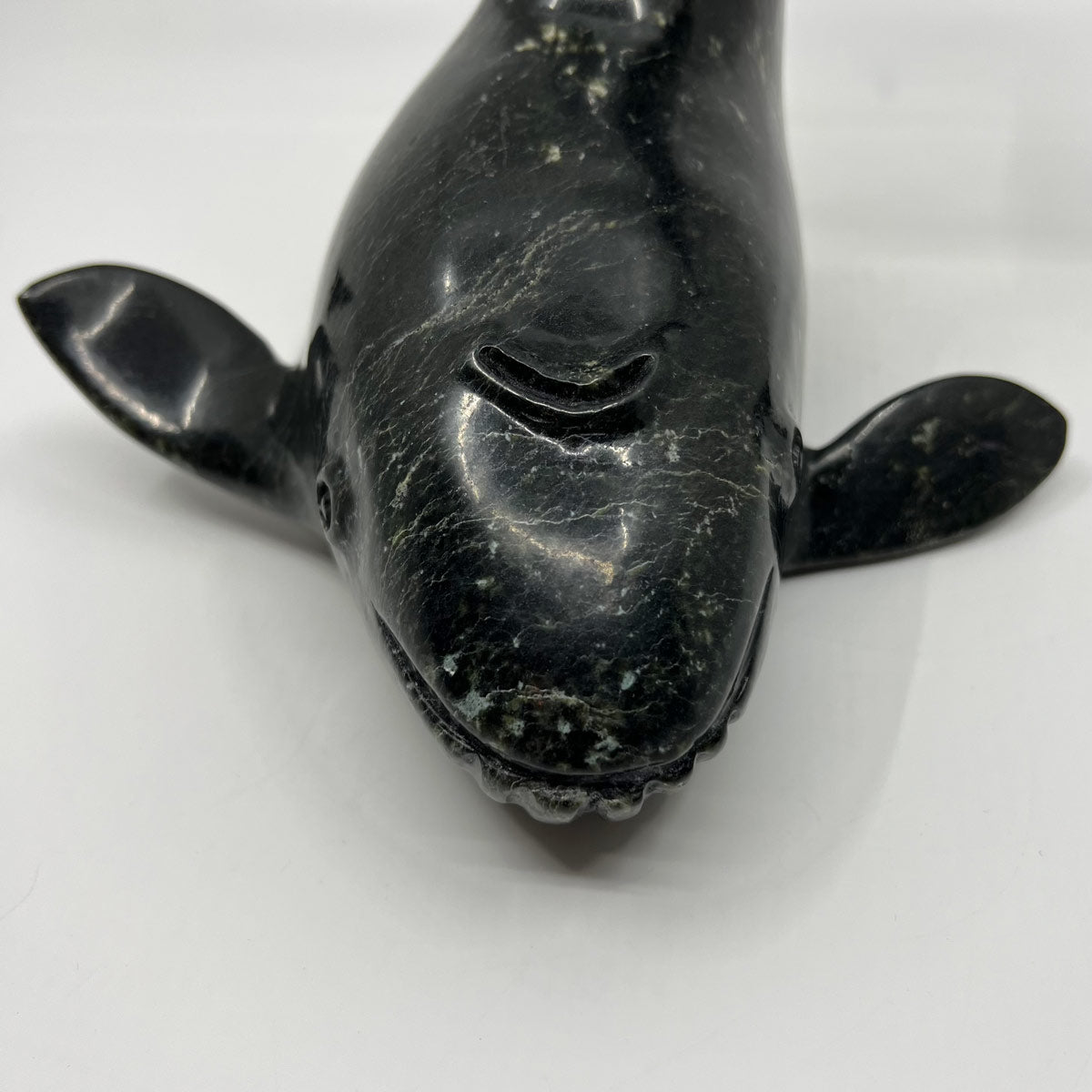 Whale