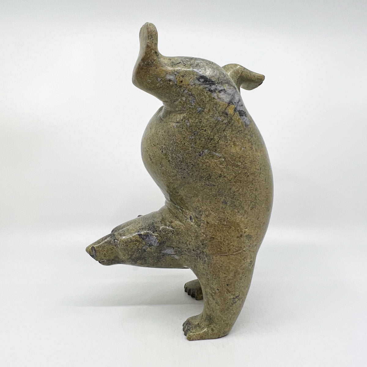 Dancing, Diving Bear