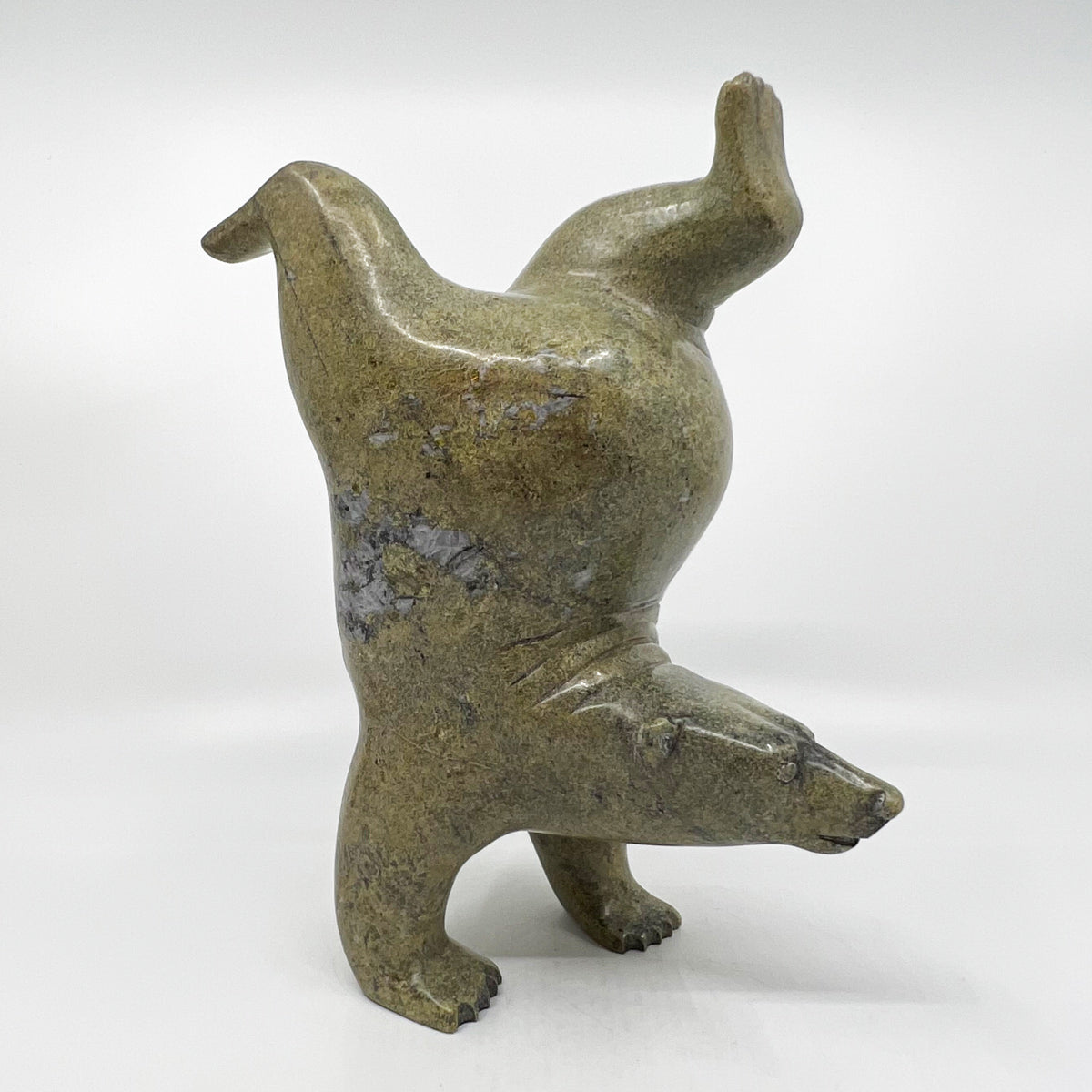 Dancing, Diving Bear