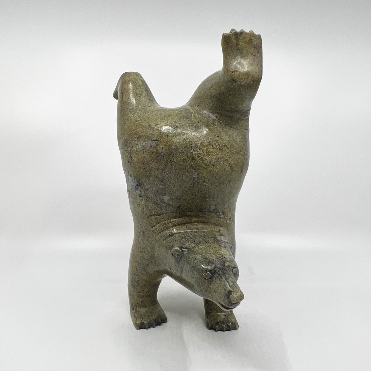 Dancing, Diving Bear
