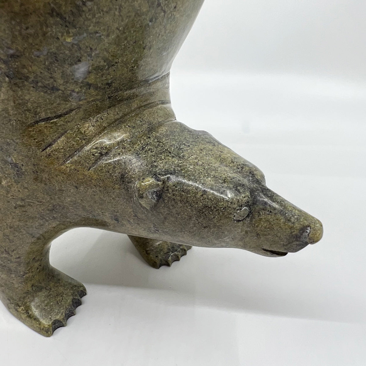 Dancing, Diving Bear