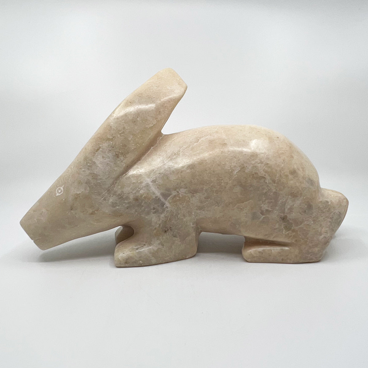 Arctic Hare