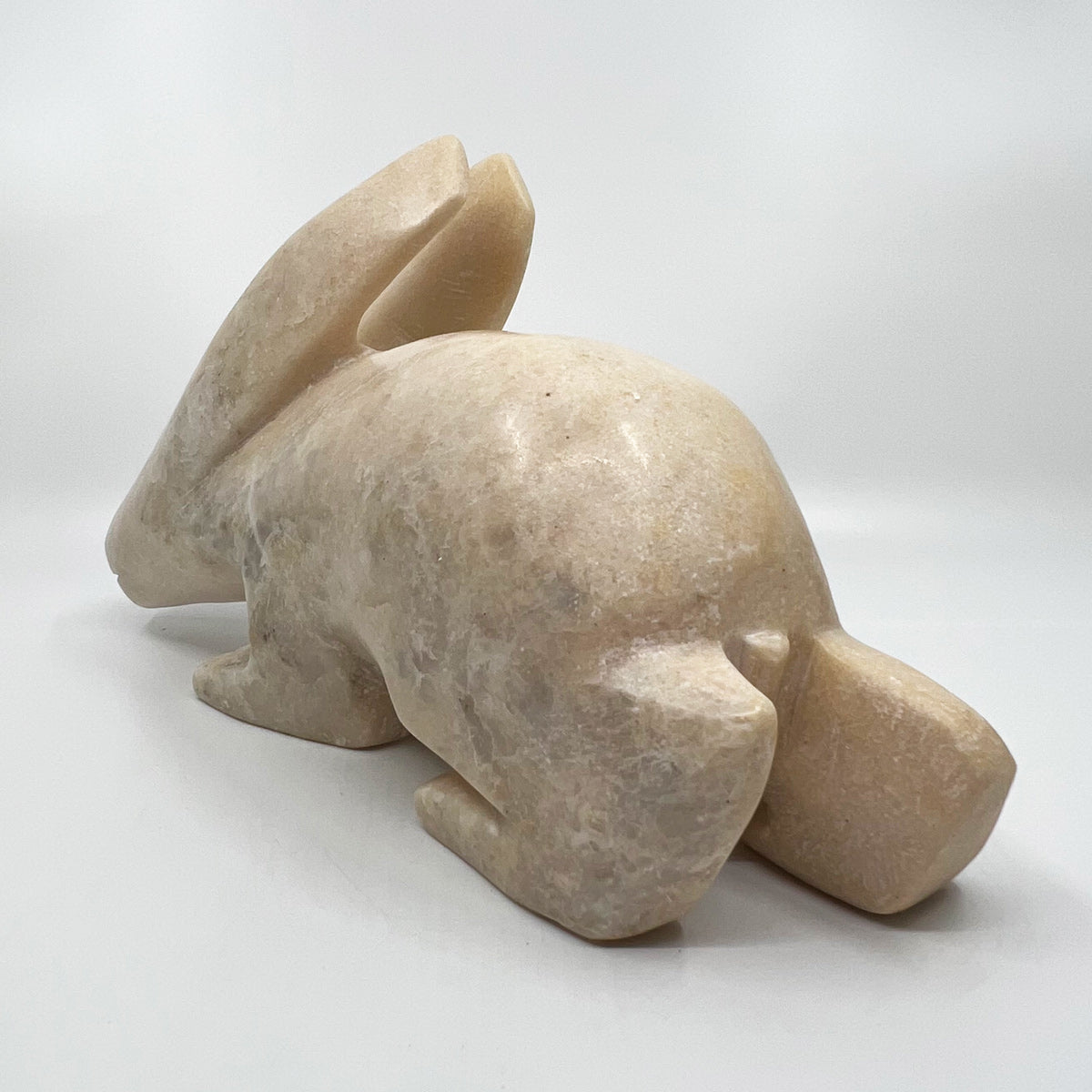 Arctic Hare