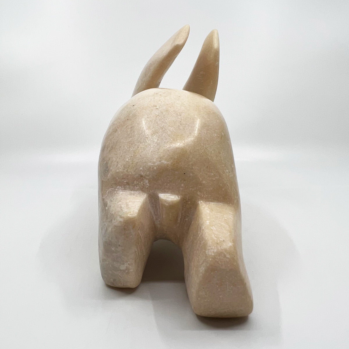 Arctic Hare