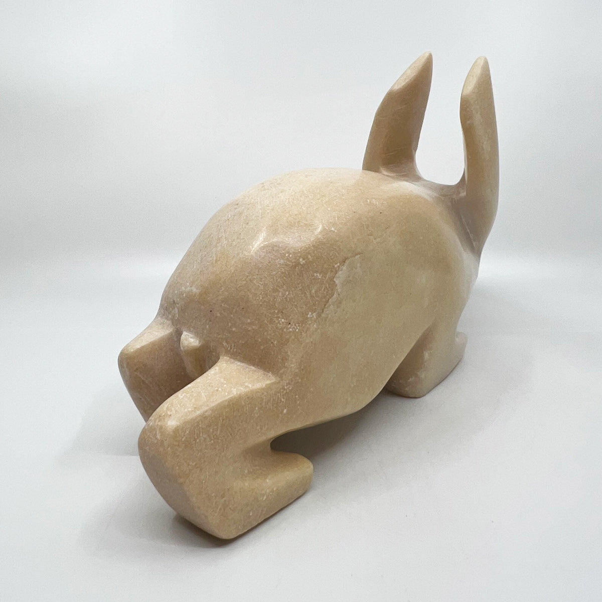 Arctic Hare