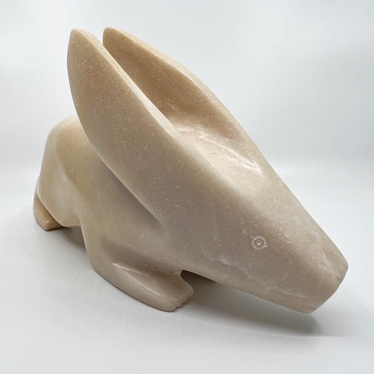 Arctic Hare