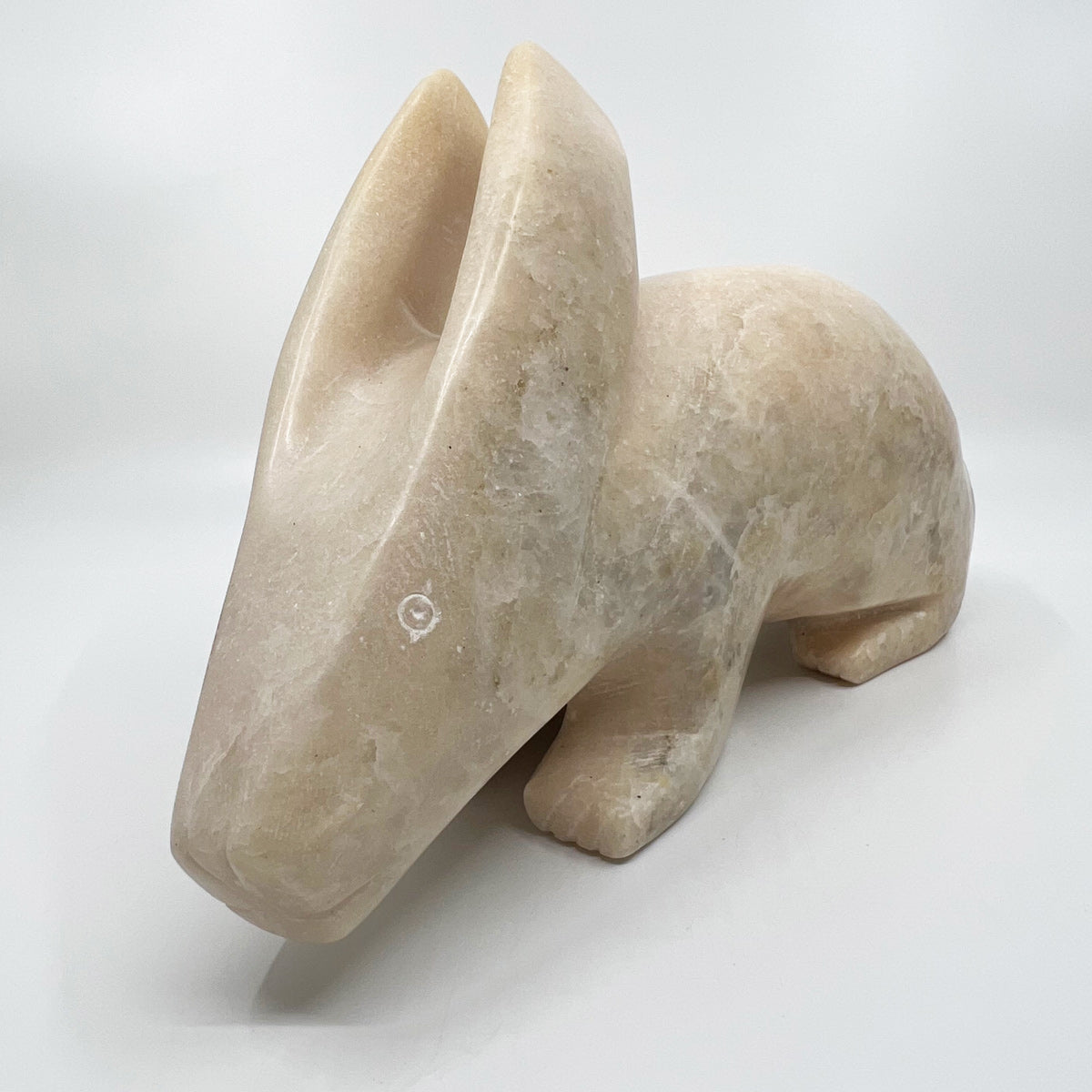 Arctic Hare