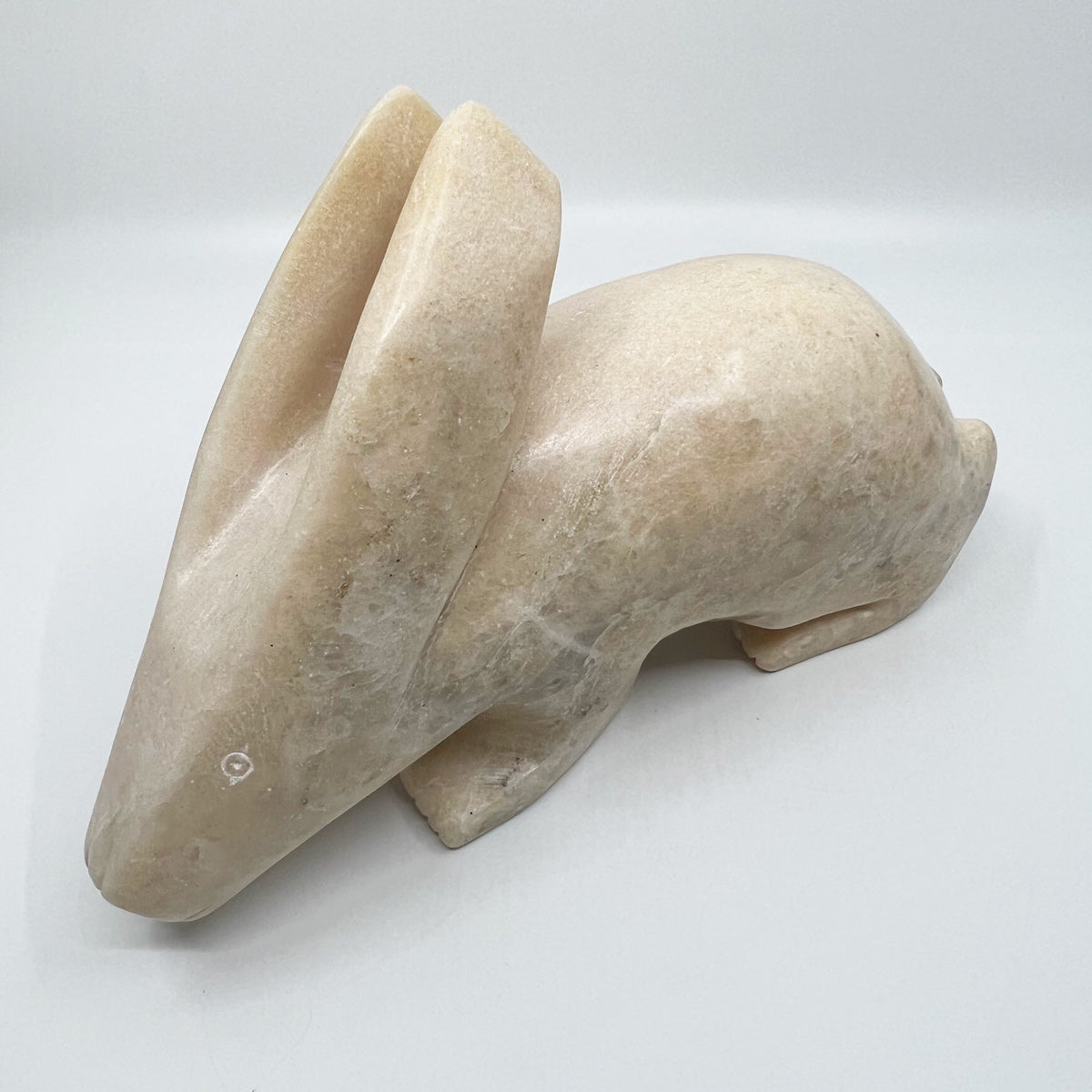 Arctic Hare