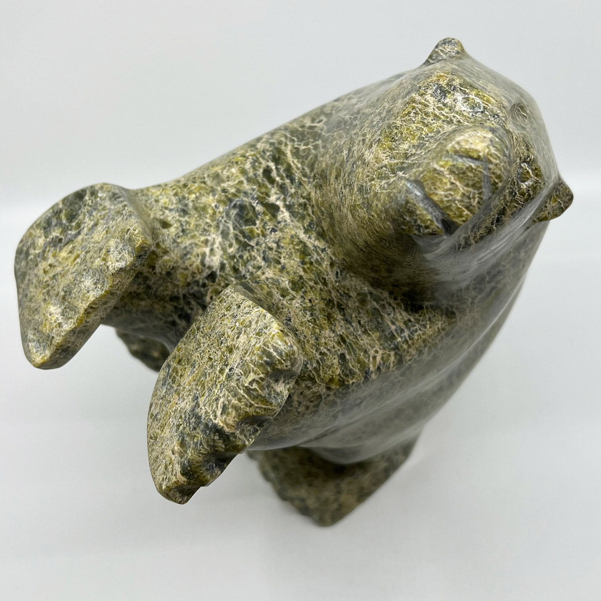 Dancing Bear