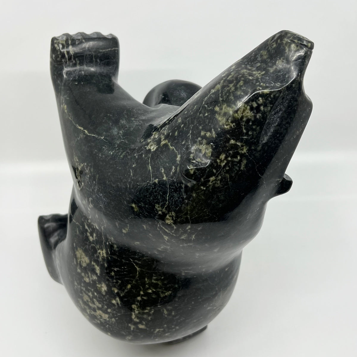 Dancing Bear