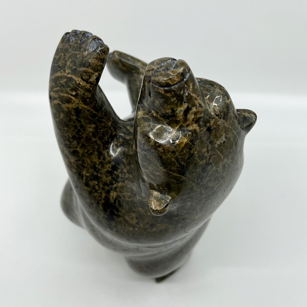 Dancing Bear