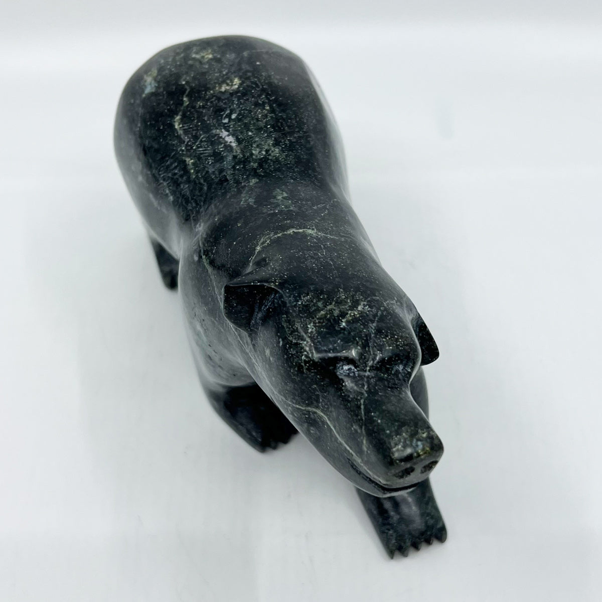Walking Bear