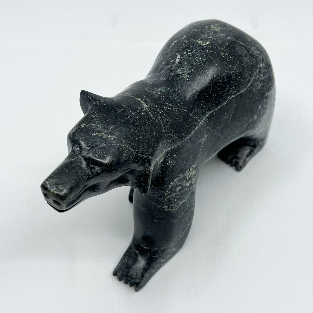 Walking Bear