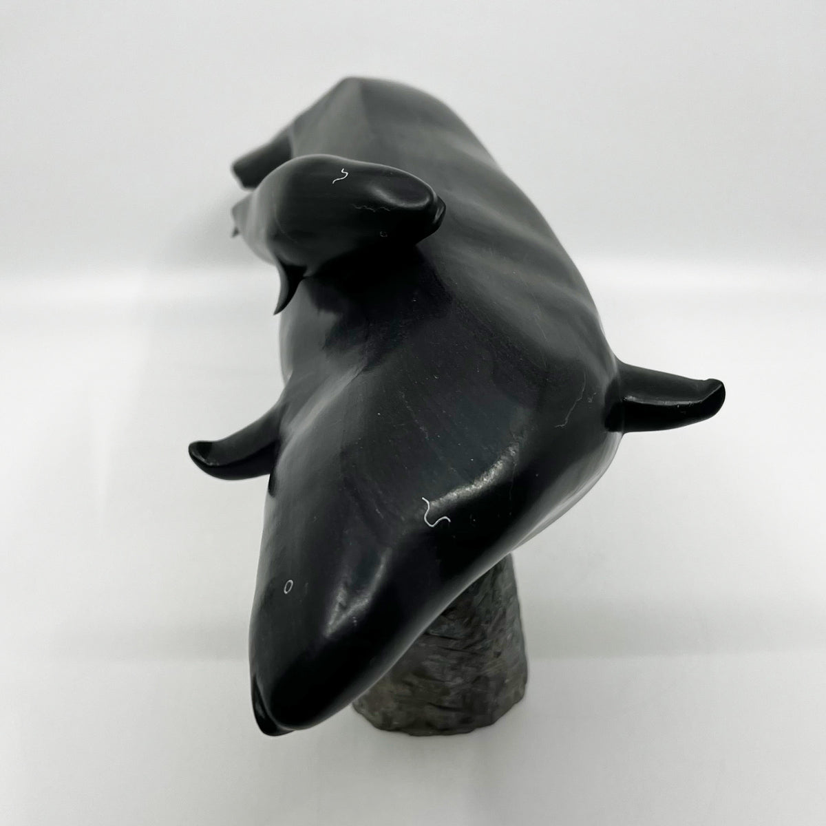 Whale and Calf