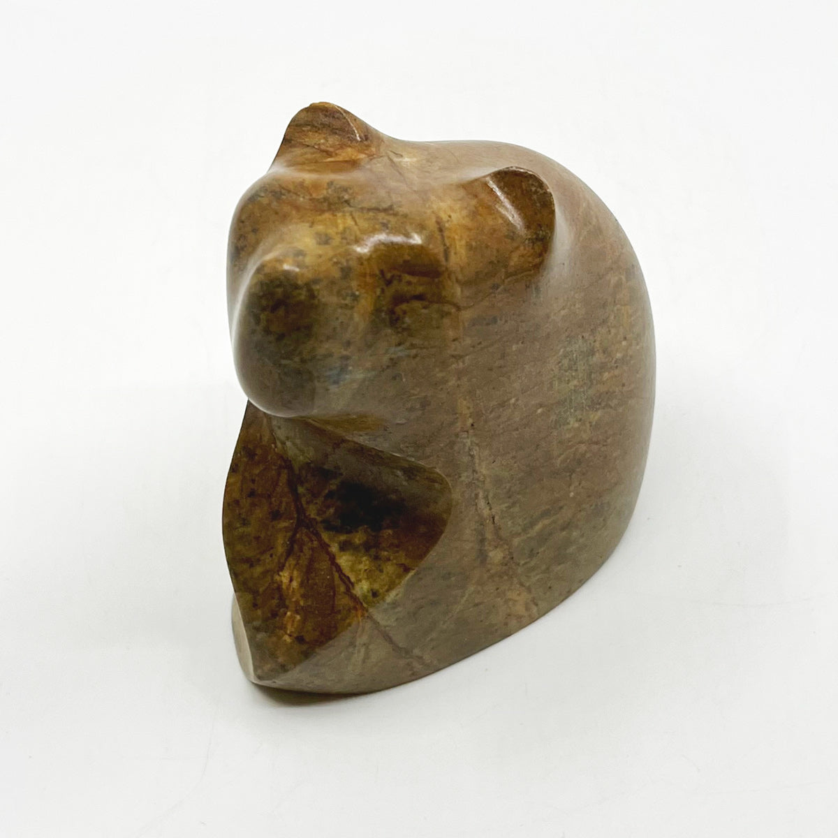Resting Bear