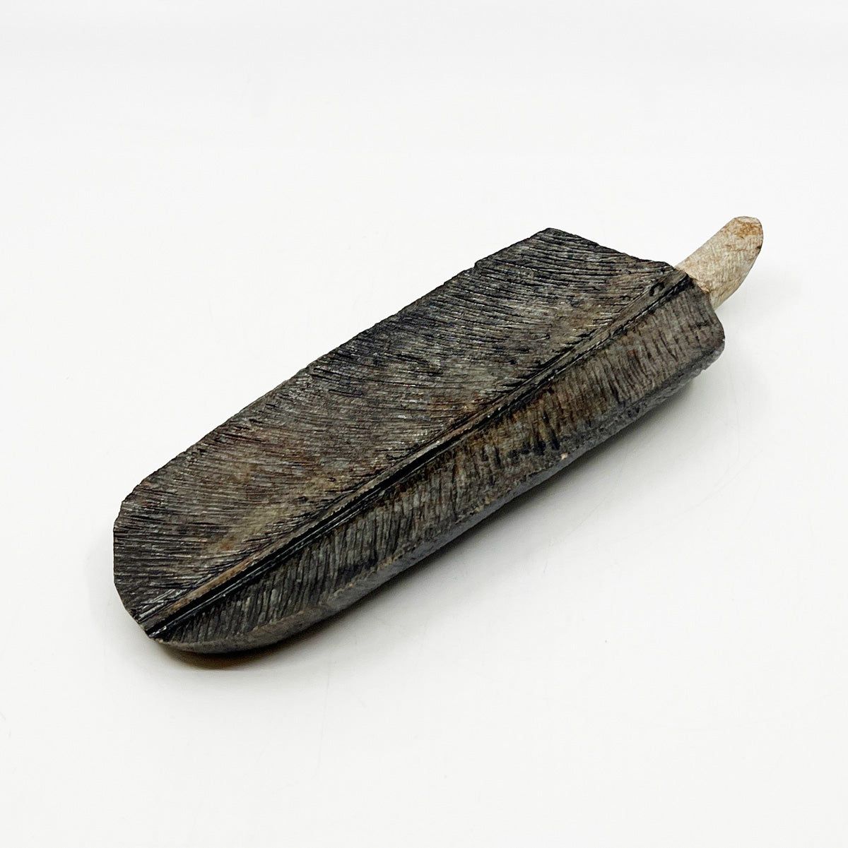 Eagle Feather