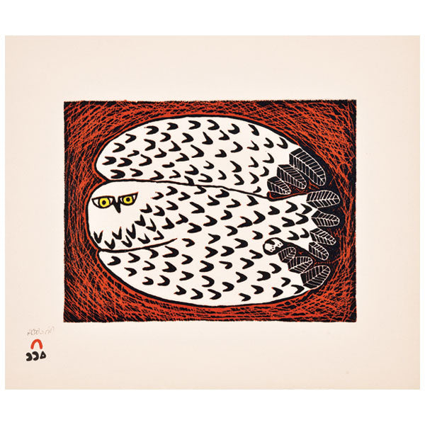 OWL NESTING