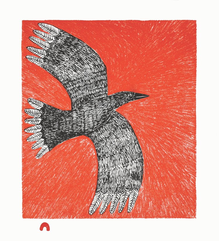 Flight