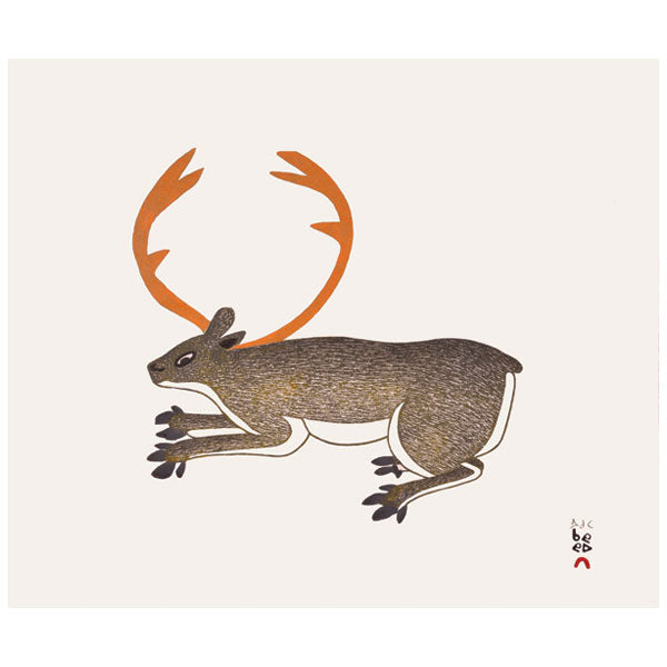 HIDDEN CARIBOU