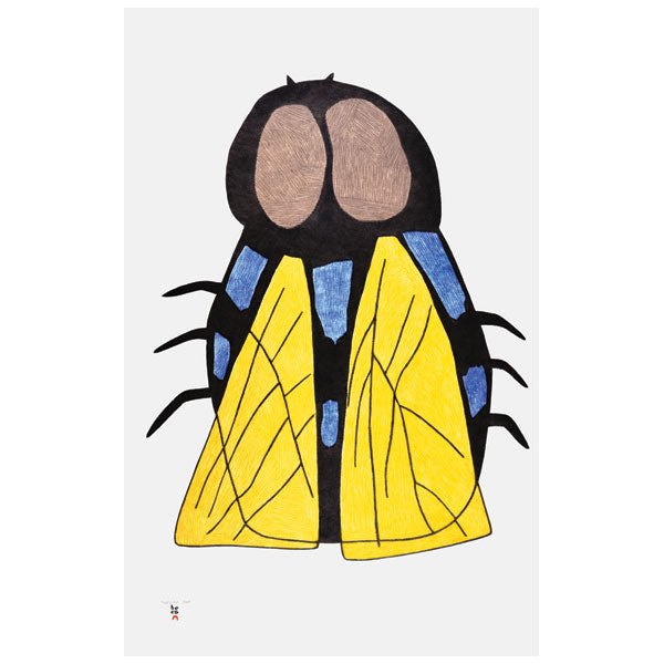 QUAMAJAQ (Fly)