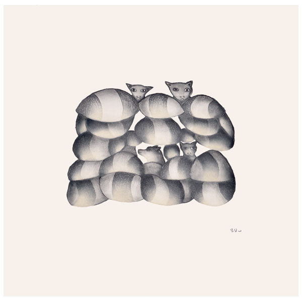 CATS AND DOGS