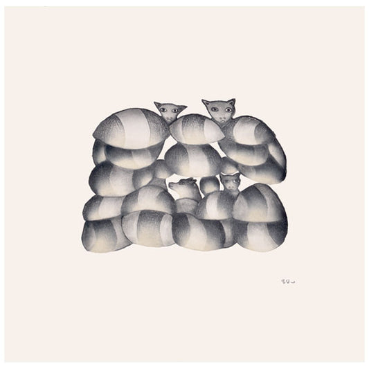 CATS AND DOGS