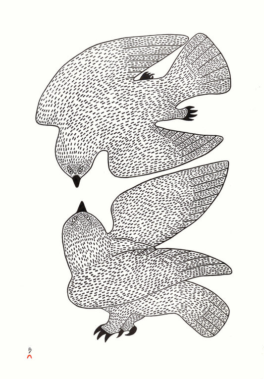 Sparring Owls