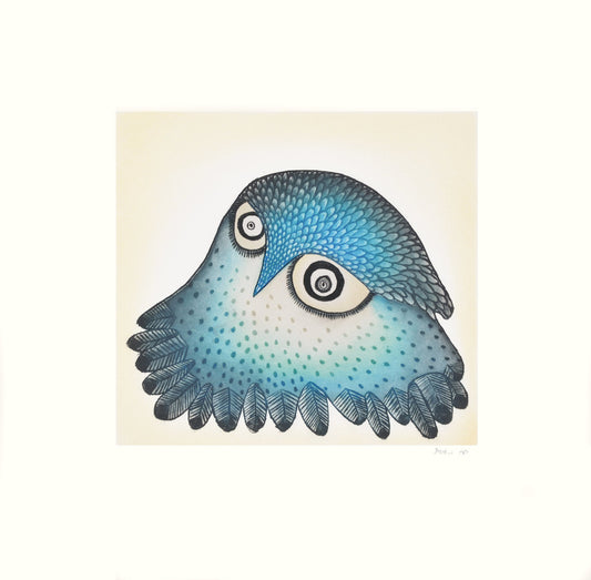 Innocent Owl