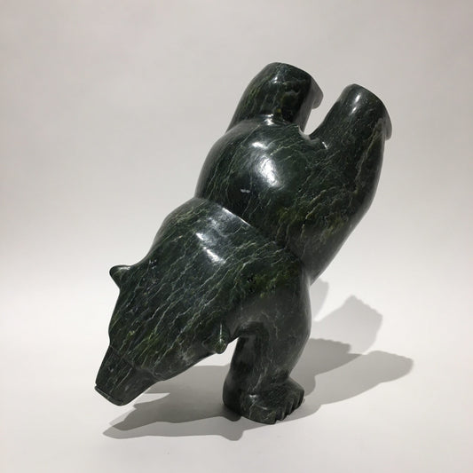 Dancing Bear, two poses