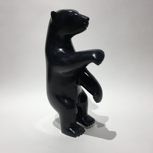 Dancing Bear