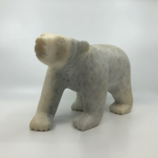 Walking Bear