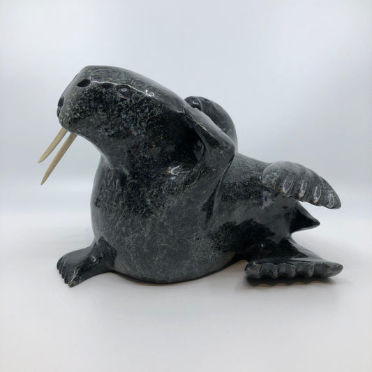 Walrus and Calf