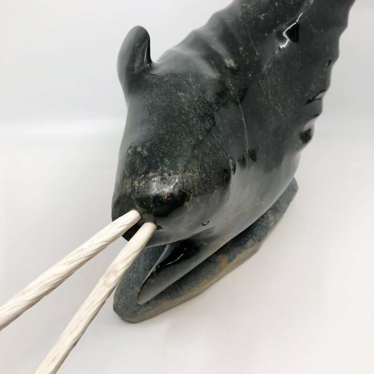 Narwhal - Double Tusk