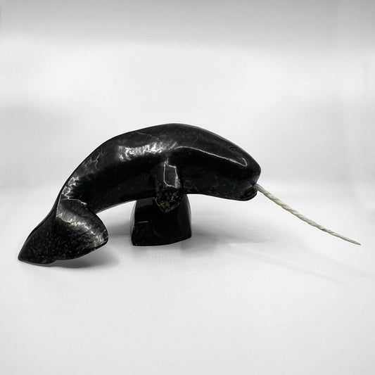 Narwhal
