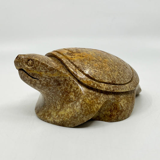 Turtle