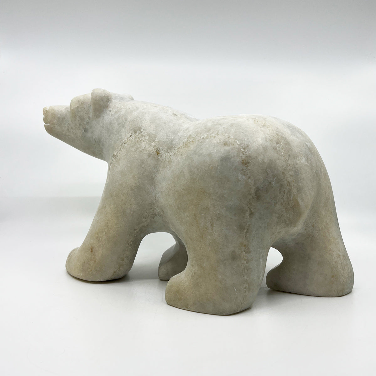 Walking Bear