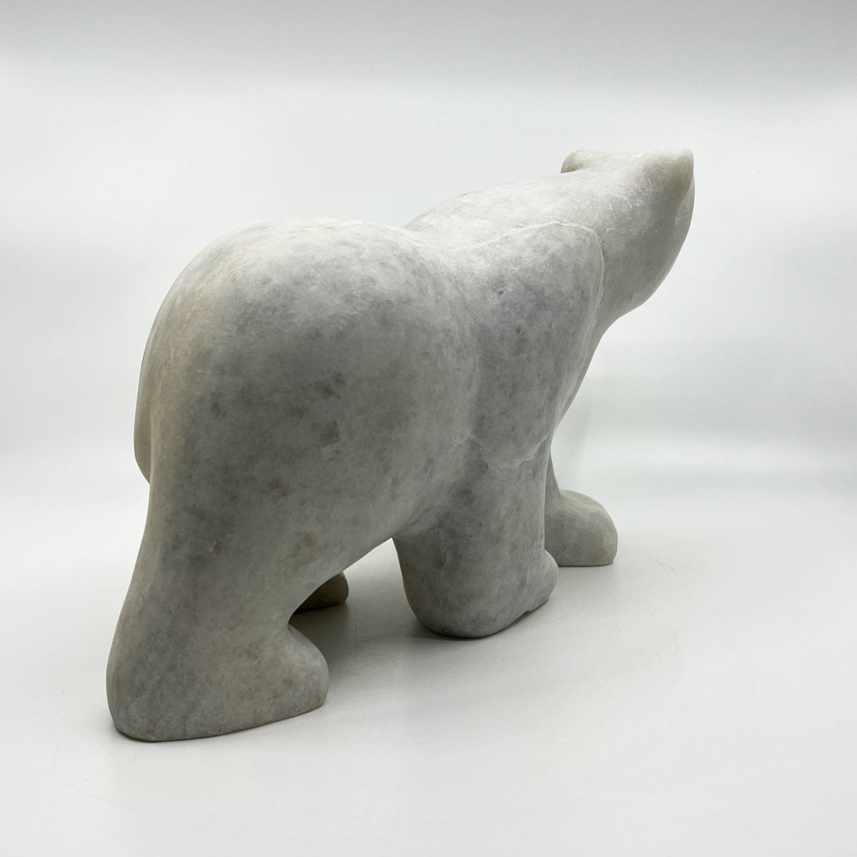 Walking Bear
