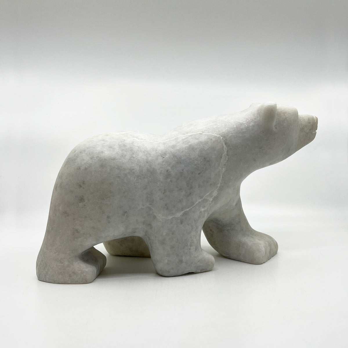Walking Bear