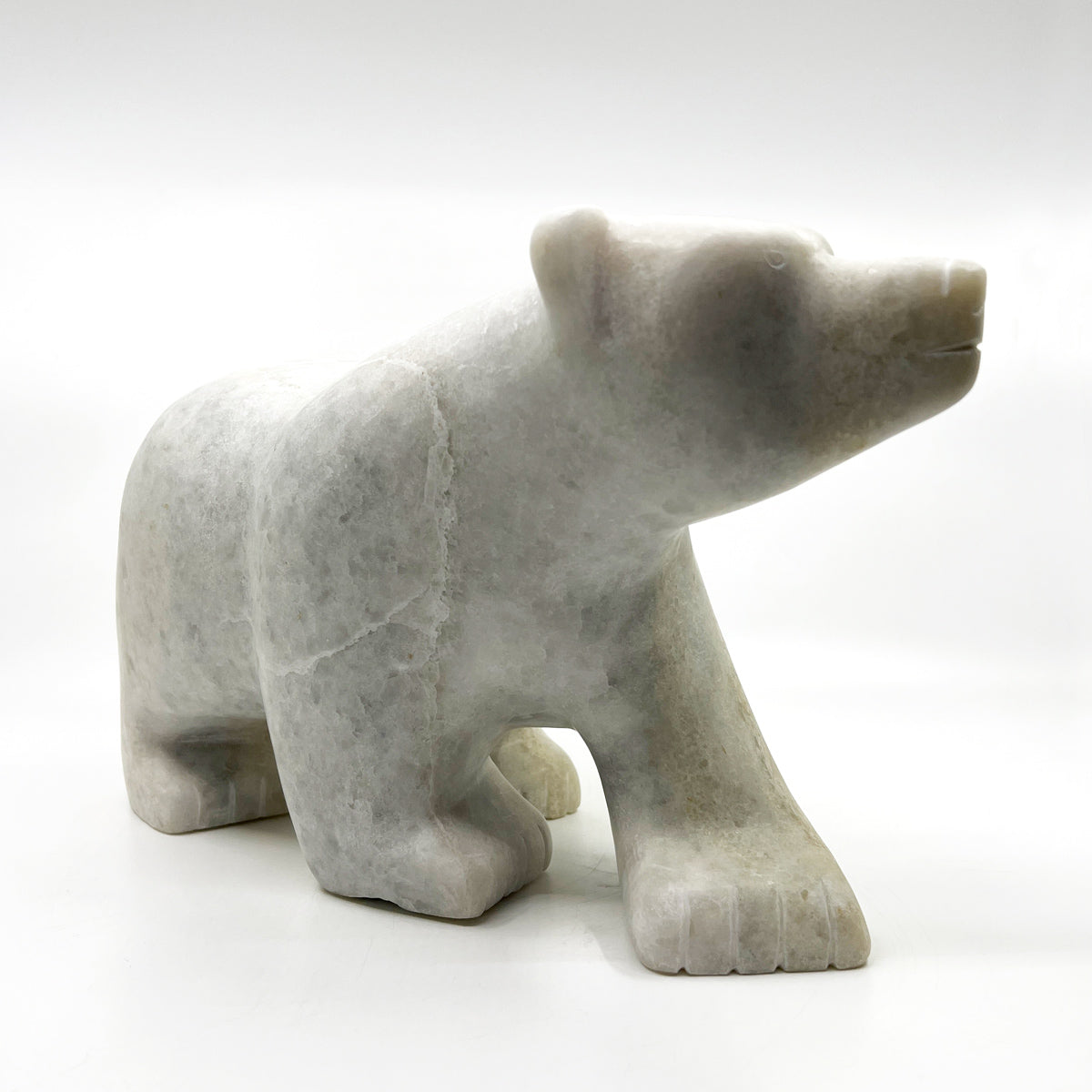 Walking Bear