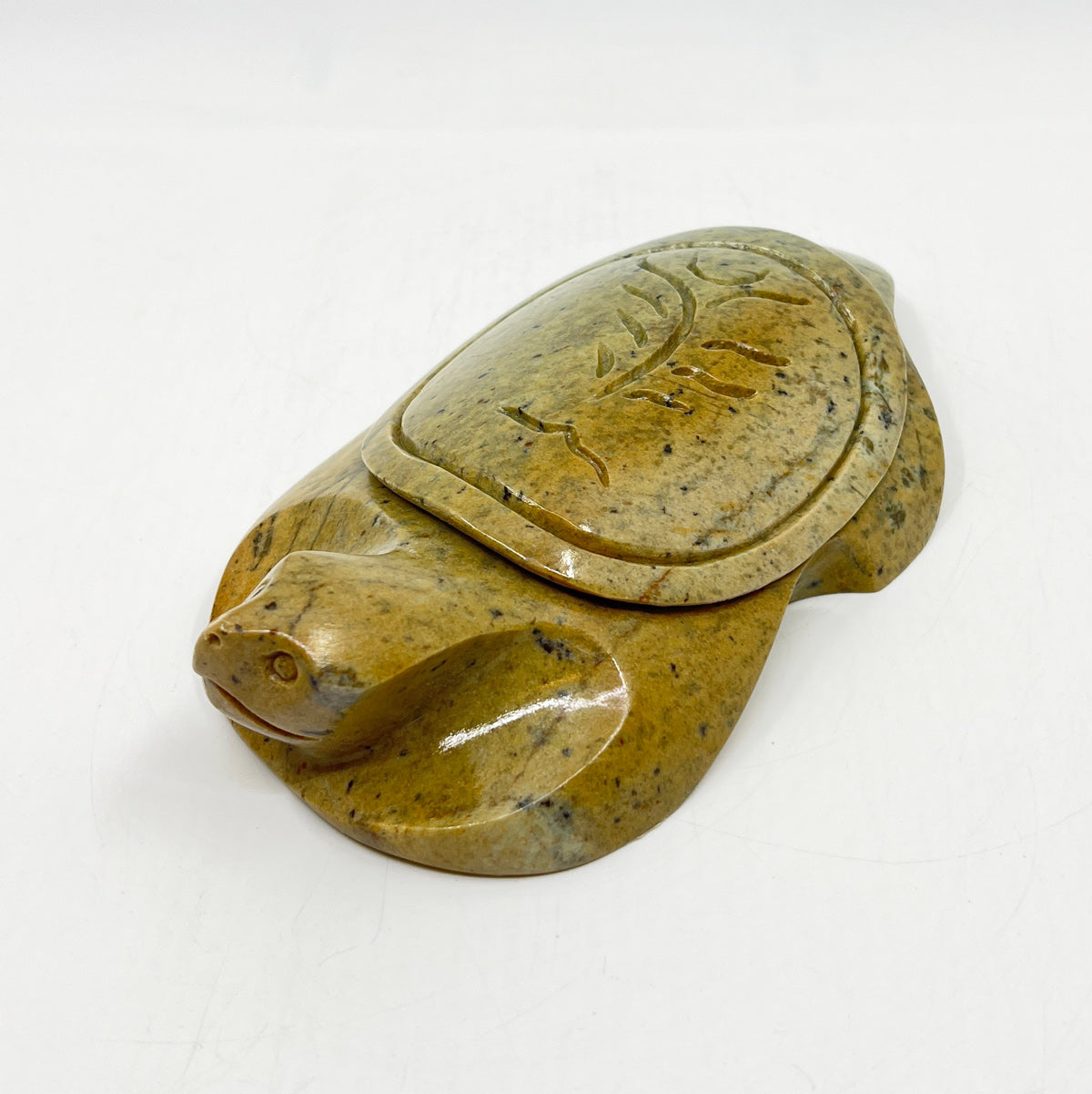 Turtle