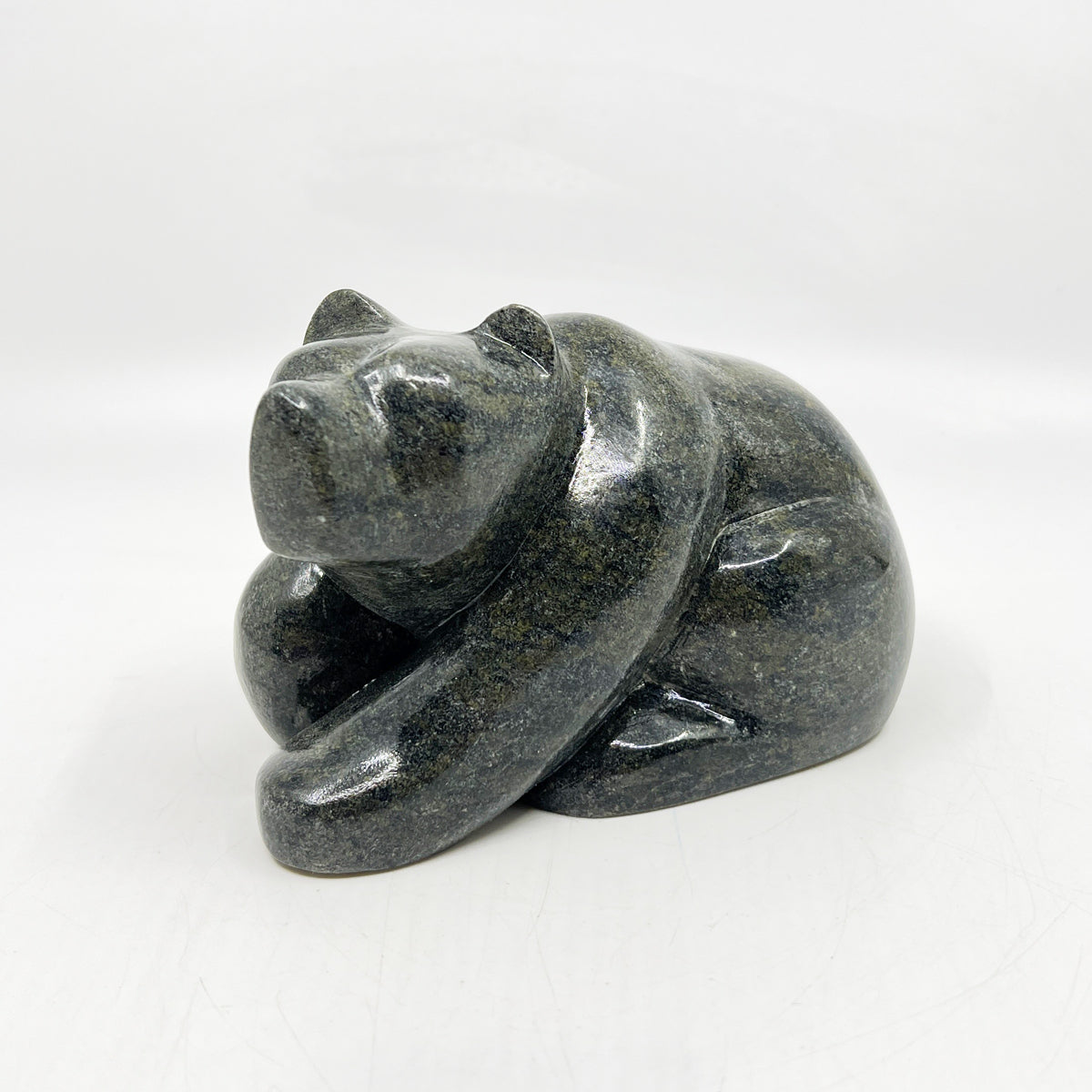Resting Bear