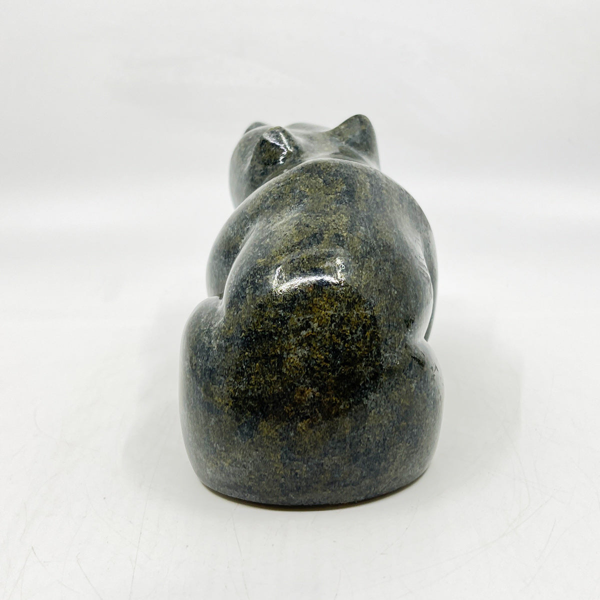 Resting Bear